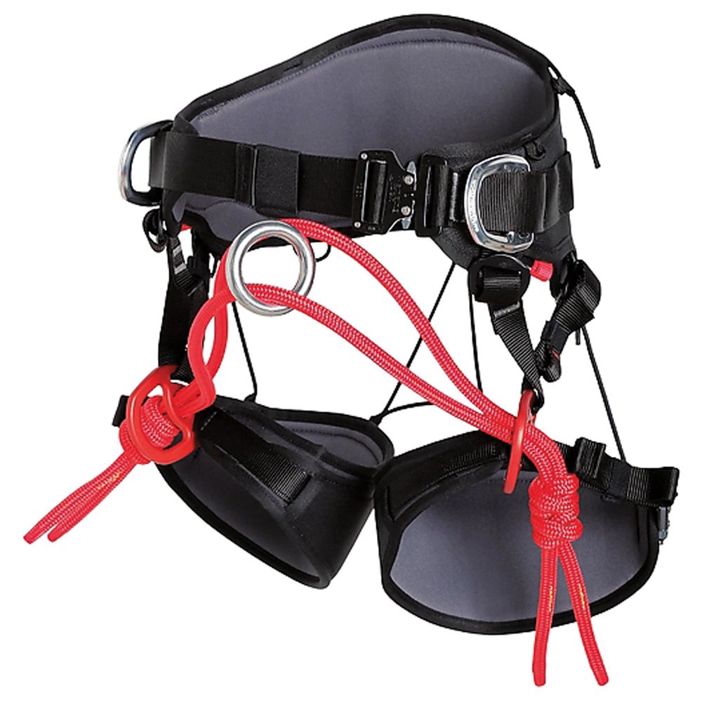 Arbo Work Positioning Master Harness Arbo Work Positioning Master Harness 2