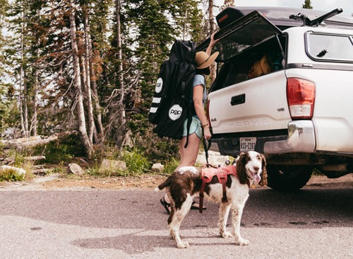 POP Board 10'6” Royal Hawaiian Inflatable SUP POP Board 10'6” Royal Hawaiian Inflatable SUP 16