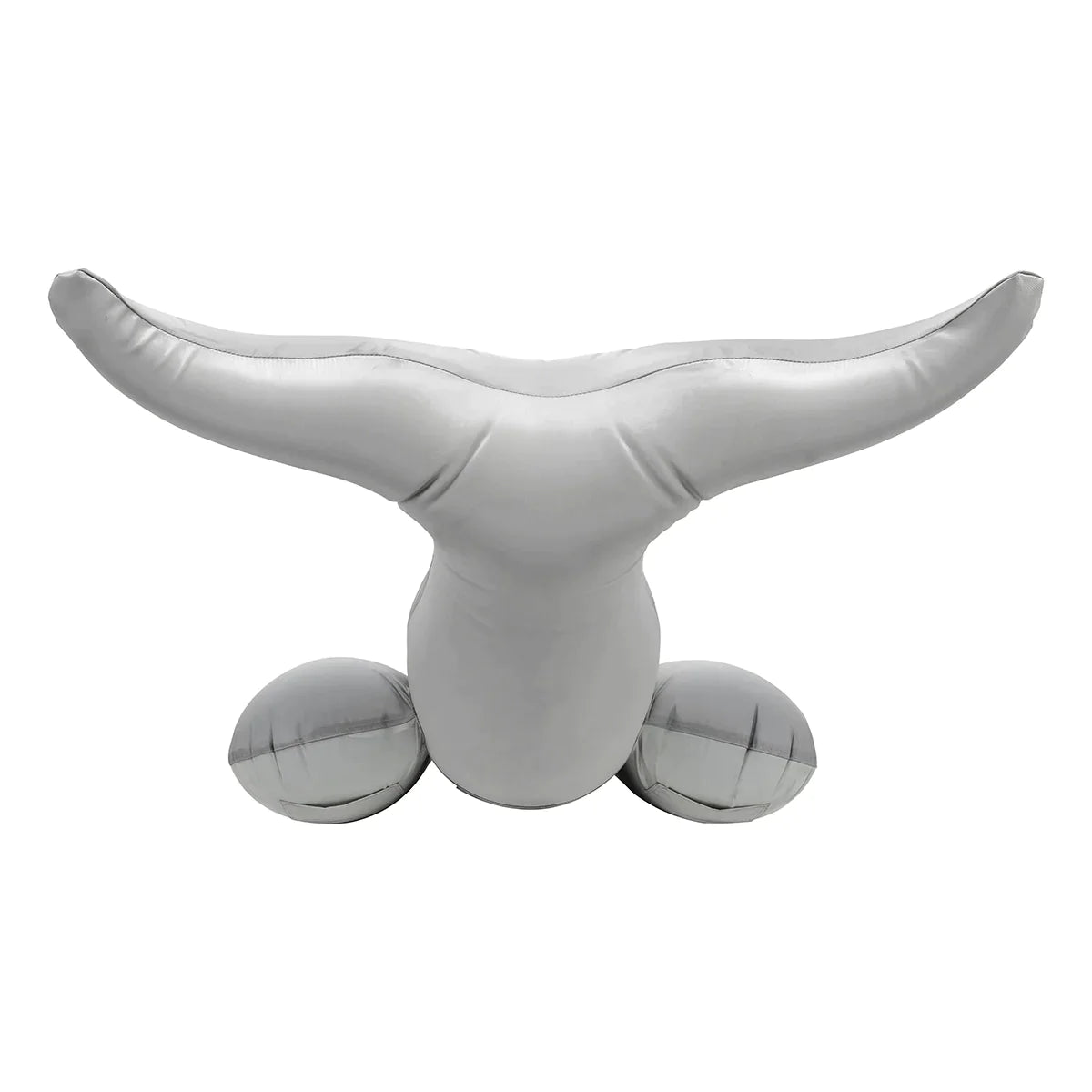 Airhead 2P Towable Dolphin 4