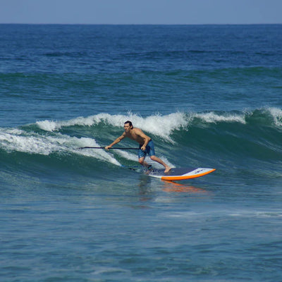 POP Board 8’6” Guru Surfing SUP 5